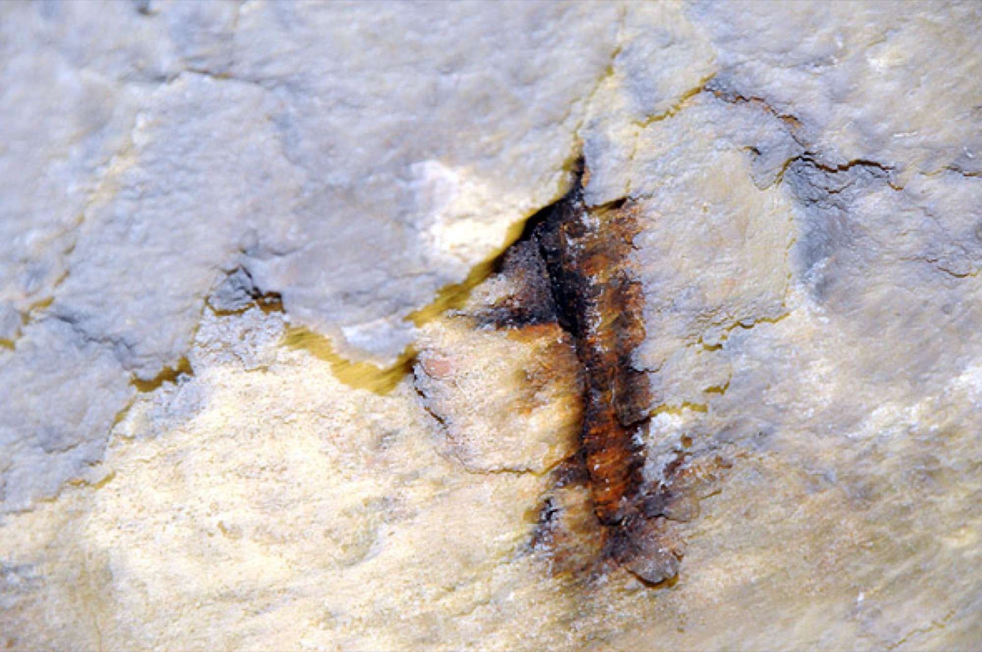 Her har det gått for langt. Rust i armeringen har sprengt opp betongen. Løsningen er å pigge opp gulvet, fjerne armeringen, legge ny armering for så å støpe nytt gulv. Dette er en stor kostnad...